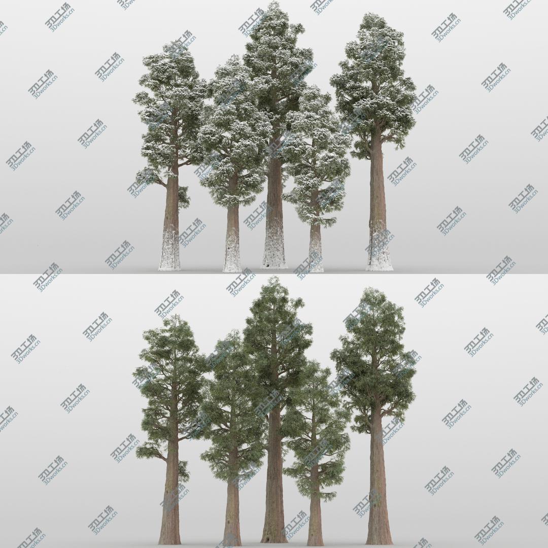 images/goods_img/2021040231/5-5 Sequoia Trees 3D model/1.jpg